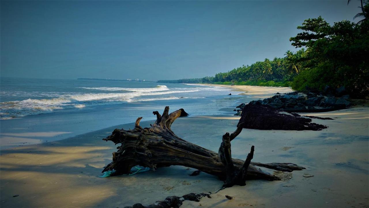 White Shell Beach House Kannur Exteriör bild